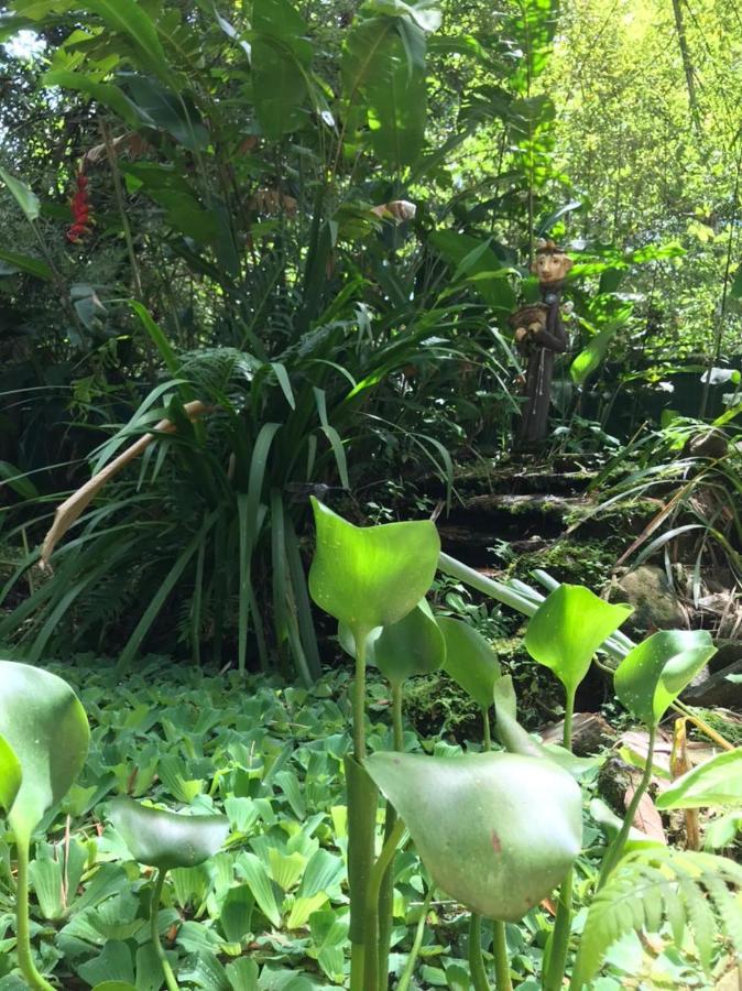 Casa A Beira Do Rio Jaguareguava Na Mata Atlantica Em Bertioga Sp Villa Exteriör bild