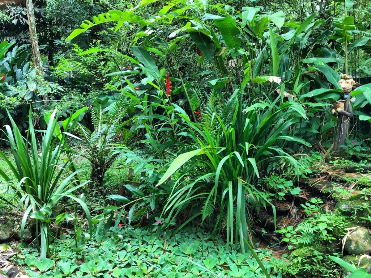 Casa A Beira Do Rio Jaguareguava Na Mata Atlantica Em Bertioga Sp Villa Exteriör bild