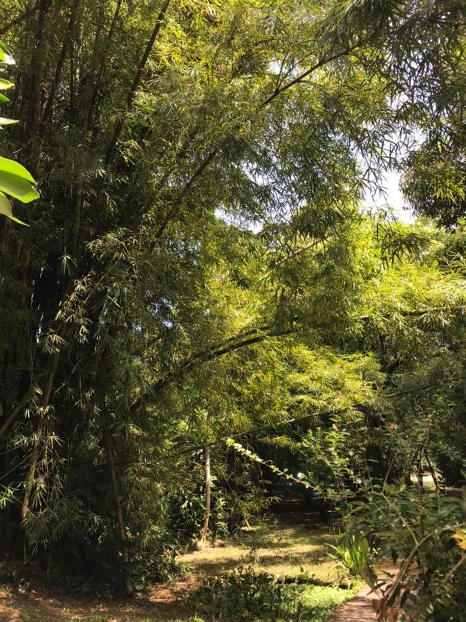 Casa A Beira Do Rio Jaguareguava Na Mata Atlantica Em Bertioga Sp Villa Exteriör bild