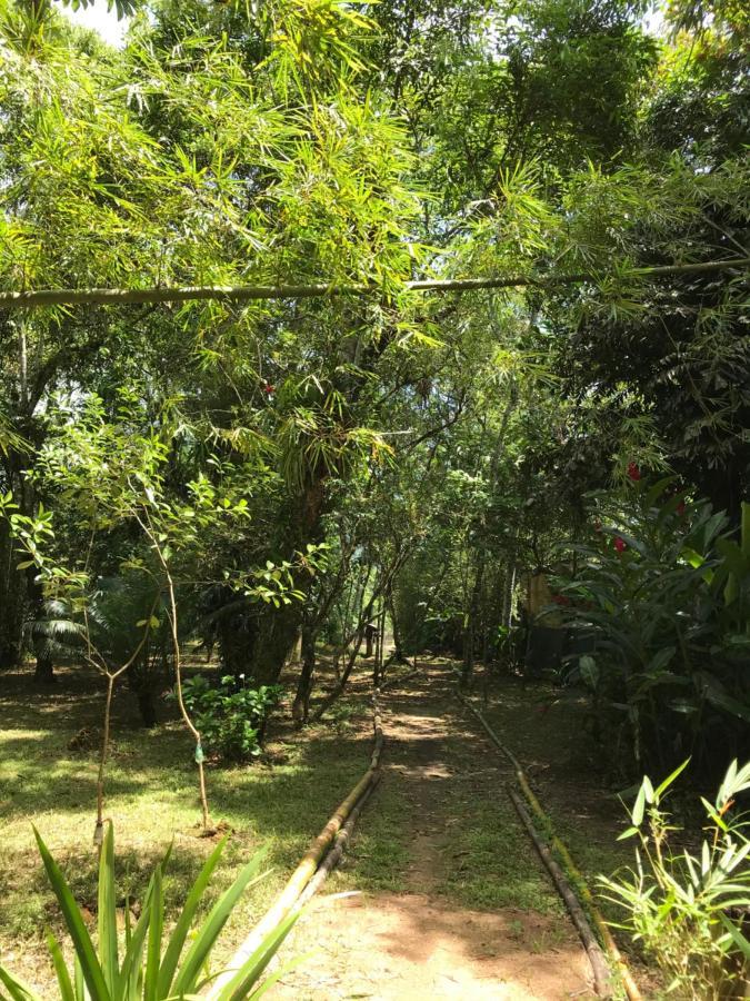 Casa A Beira Do Rio Jaguareguava Na Mata Atlantica Em Bertioga Sp Villa Exteriör bild
