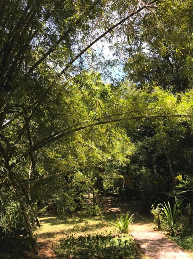 Casa A Beira Do Rio Jaguareguava Na Mata Atlantica Em Bertioga Sp Villa Exteriör bild
